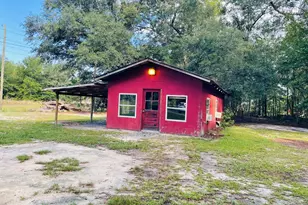 685 Holmes Theus Road NE, Ludowici, GA 31316 - Photo 13