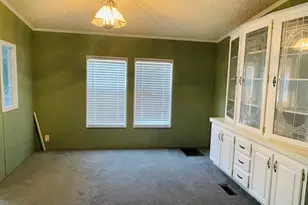 685 Holmes Theus Road NE, Ludowici, GA 31316 - Photo 5