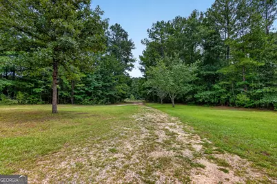 223 Strickland Drive, Luthersville, GA 30251 - Photo 9