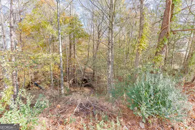 5137 Yellow Stone Drive, Flowery Branch, GA 30542 - Photo 3