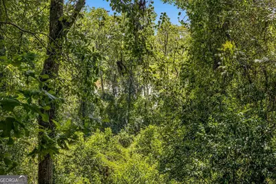 714 Altamaha Road, Jesup, GA 31545 - Photo 45