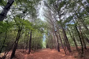 161 Mt Bethel Rd, Commerce, GA 30530 - Photo 173