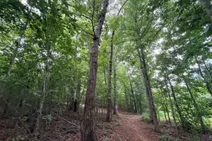 161 Mt Bethel Rd, Commerce, GA 30530 - Photo 177