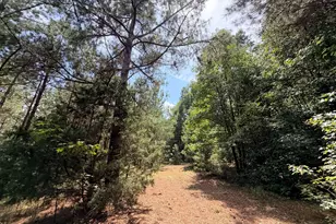 161 Mt Bethel Rd, Commerce, GA 30530 - Photo 141