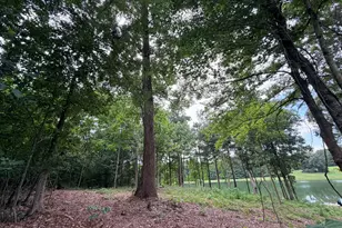 161 Mt Bethel Rd, Commerce, GA 30530 - Photo 189