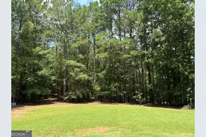 223 North Cove Drive, Newnan, GA 30263 - Photo 39