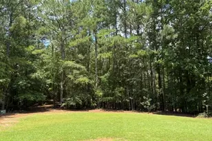 223 N Cove Dr, Newnan, GA 30263 - Photo 39