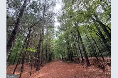0 Mount Bethel Road, Commerce, GA 30530 - Photo 99