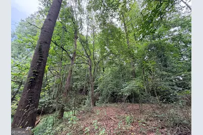 0 Mount Bethel Road, Commerce, GA 30530 - Photo 65