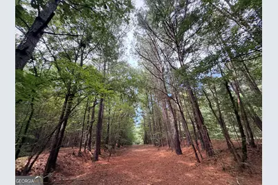 0 Mount Bethel Road, Commerce, GA 30530 - Photo 103