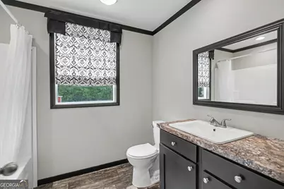 257 Iris Drive, Demorest, GA 30535 - Photo 29