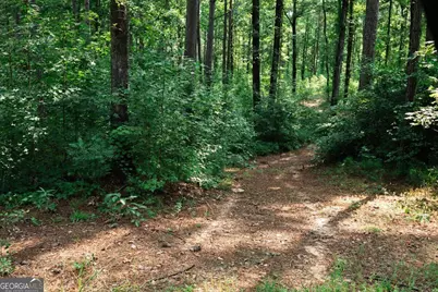 252 Rum Creek Pass, Juliette, GA 31046 - Photo 47