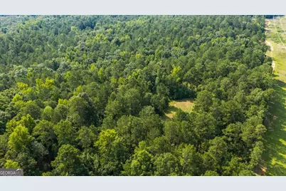 252 Rum Creek Pass, Juliette, GA 31046 - Photo 65