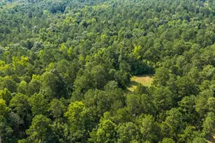 252 Rum Creek Pass, Juliette, GA 31046 - Photo 65