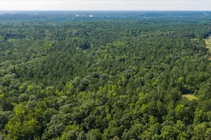 252 Rum Creek Pass, Juliette, GA 31046 - Photo 65