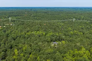 252 Rum Creek Pass, Juliette, GA 31046 - Photo 61