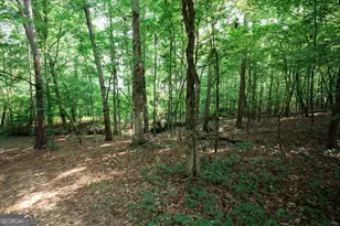 252 Rum Creek Pass, Juliette, GA 31046 - Photo 37