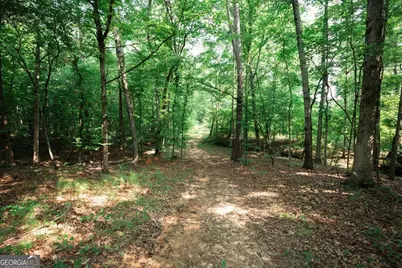 252 Rum Creek Pass, Juliette, GA 31046 - Photo 39