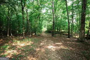 252 Rum Creek Pass, Juliette, GA 31046 - Photo 39