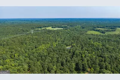 252 Rum Creek Pass, Juliette, GA 31046 - Photo 59