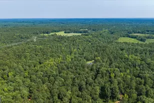 252 Rum Creek Pass, Juliette, GA 31046 - Photo 59