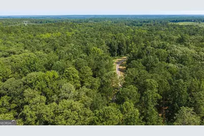 252 Rum Creek Pass, Juliette, GA 31046 - Photo 73