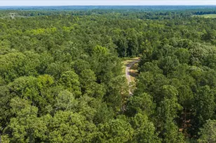 252 Rum Creek Pass, Juliette, GA 31046 - Photo 73