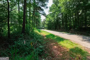 252 Rum Creek Pass, Juliette, GA 31046 - Photo 55