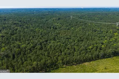 252 Rum Creek Pass, Juliette, GA 31046 - Photo 63