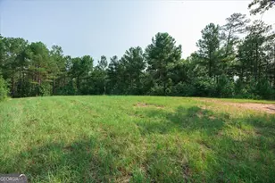 252 Rum Creek Pass, Juliette, GA 31046 - Photo 51