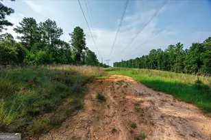 252 Rum Creek Pass, Juliette, GA 31046 - Photo 45