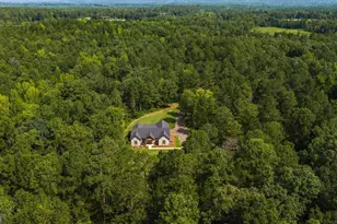 252 Rum Creek Pass, Juliette, GA 31046 - Photo 71