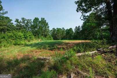 252 Rum Creek Pass, Juliette, GA 31046 - Photo 51