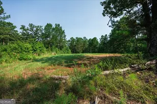 252 Rum Creek Pass, Juliette, GA 31046 - Photo 51