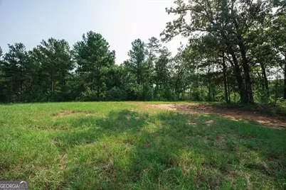 252 Rum Creek Pass, Juliette, GA 31046 - Photo 49