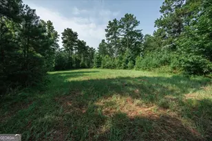 252 Rum Creek Pass, Juliette, GA 31046 - Photo 43