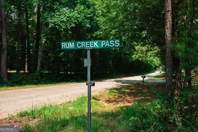 252 Rum Creek Pass, Juliette, GA 31046 - Photo 57