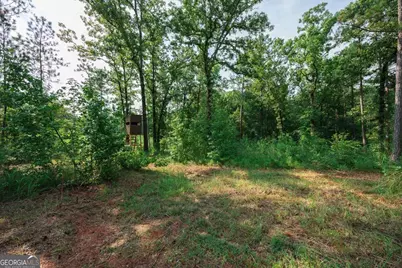 252 Rum Creek Pass, Juliette, GA 31046 - Photo 53