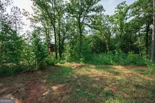 252 Rum Creek Pass, Juliette, GA 31046 - Photo 53