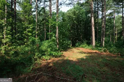 252 Rum Creek Pass, Juliette, GA 31046 - Photo 45