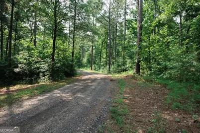 252 Rum Creek Pass, Juliette, GA 31046 - Photo 49