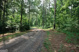 252 Rum Creek Pass, Juliette, GA 31046 - Photo 49