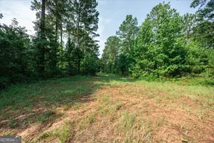 252 Rum Creek Pass, Juliette, GA 31046 - Photo 41