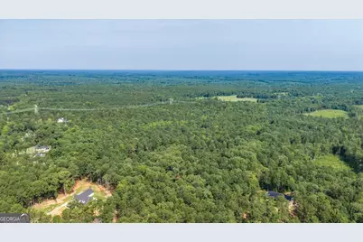 252 Rum Creek Pass, Juliette, GA 31046 - Photo 61