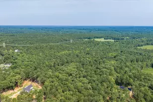 252 Rum Creek Pass, Juliette, GA 31046 - Photo 61