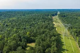 252 Rum Creek Pass, Juliette, GA 31046 - Photo 67