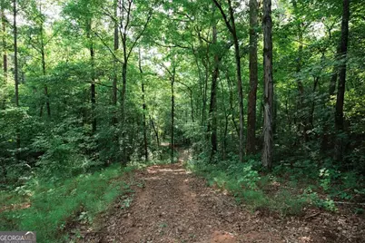 252 Rum Creek Pass, Juliette, GA 31046 - Photo 47
