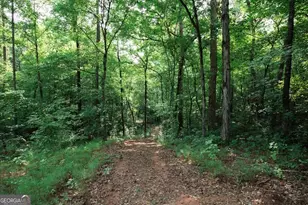 252 Rum Creek Pass, Juliette, GA 31046 - Photo 47
