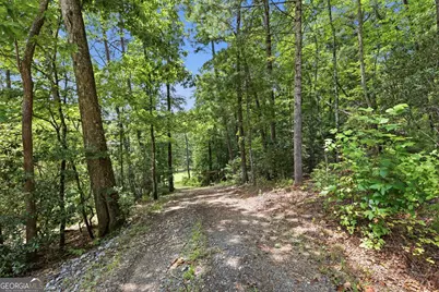 121 Waterfalls Way, Clarkesville, GA 30523 - Photo 41