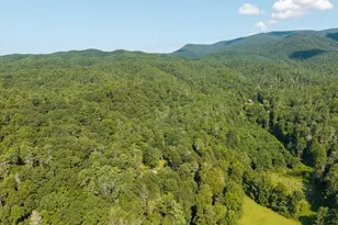 61 Wilderness Trail, Ellijay, GA 30540 - Photo 19